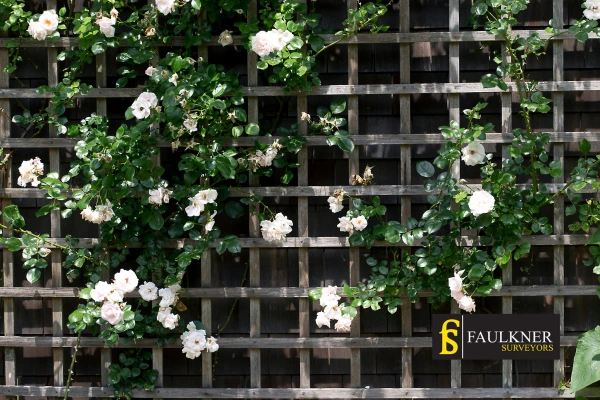 Can I put trellis on my Neighbours garage wall? 2 Do you want to adapt your neighbours garage door and add a trellis Oxford? Talk to Faulkner Surveyor Oxford